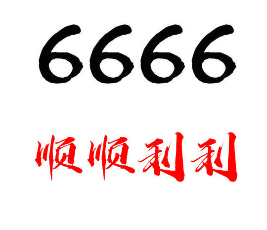 菏泽联通666手机靓号吉祥号大全